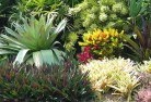 Corny Pointplanting-garden-and-landscape-design-24.jpg; ?>